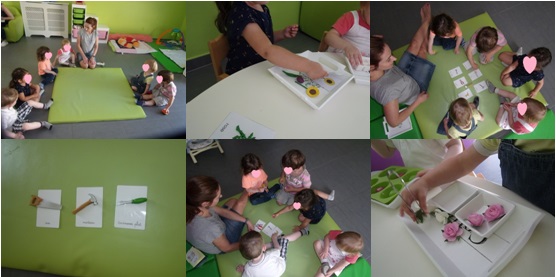 Ateliers Montessori